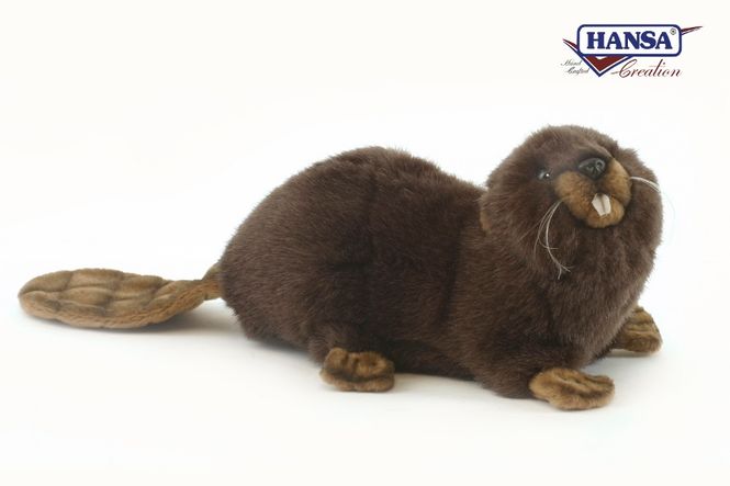 Hovedbilde HansaCreation Bever